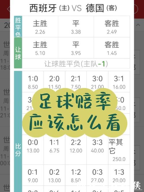 世界杯竞猜平台:详细赔率快速下注模式 世界杯竞猜平台:详细赔率快速下注模式